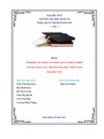 Tìm hiểu về công tác đào tạo và phát triển nguồn nhân lực ở trường đại học nông lâm   đại học huế