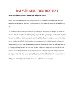 BÀI văn mẫu TIỂU học HAY   hãy kể những đổi mới ở xóm làng hoặc phố phường của em 