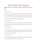 BÀI văn mẫu TIỂU học HAY   quan sát một cây mà em yêu thích, hãy viết một đoạn văn mở bài giới thiệu chung về cây mà em định tả  