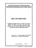 Nghiên cứu hiện trạng và khả năng phát triển cây điều theo hướng sản xuất hàng hoá và bền vững trên đất hoang đồi núi tỉnh khánh hoà