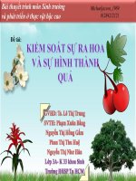 Bài thuyết trình môn Sinh trưởng và phát triển ở thực vật bậc cao