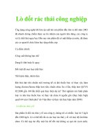 Lò đốt rác thải công nghiệp 