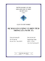 dự báo sản lượng và diện tích trồng lúa nước ta