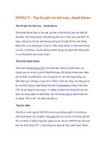 DNSGCT   tìm lời giải cho bài toán   thanh khoản 