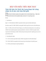 BÀI văn mẫu TIỂU học HAY   tóm tắt bản tin vịnh hạ long được tái công nhận là di sản văn hóa thế giới 