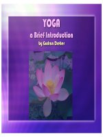 Yoga a brief introduction