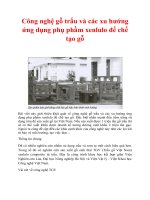 Công nghệ gỗ trấu và các xu hướng ứng dụng phụ phầm xenlulo để chế tạo gỗ 