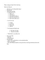 Nhóm sử dụng mô hình VCSI ở việt nam