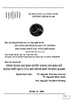 Xây dựng mô hình dự báo các trường khí tượng thuỷ văn biển đông việt nam   tính toán dự báo nước dâng do bão sử dụng kết quả của mô hình khí tượng RAM