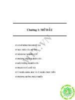 Bước đầu  áp  dụng  hệ  thống  quản  lý  tích  hợp  tiêu  chuẩnISO  9001:2000 và ISO 14001:2004 vào công  tác quản  lý môi  trường tại Quận Bình  Tân