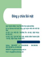 Đông y chữa sỏi mật