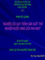 Slide nghiên cứu xây dựng quy trình sản xuất thử nghiệm rượu vang dứa pha nho 