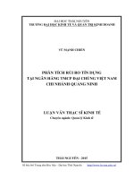 Phân tích rủi ro tín dụng tại ngân hàng thương mại cổ phần đại chúng Việt Nam chi nhánh Quảng Ninh