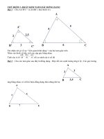 BÀI TẬP TAM GIÁC ĐỒNG DẠNG