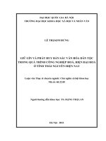 Giữ gìn và phát huy bản sắc văn hóa dân tộc trong quá trình công nghiệp hóa, hiện đại hóa ở tỉnh thái nguyên hiện nay