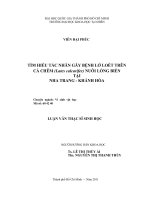 Tìm hiểu tác nhân gây bệnh lở loét trên cá chẽm (lates calcarifer) nuôi lồng biển tại nha trang – khánh hòa 