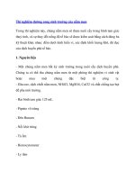 Thí nghiệm đường cong sinh trưởng của nấm men 