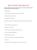 BÀI văn mẫu TIỂU học HAY   mẹ muốn gửi gấp một số tiền về quê để ông bà dùng vào công việc cần kíp  em hãy giúp mẹ điền những điều cần thiết vào bức điện chuyển tiền đã cho 