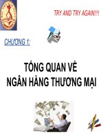 CHƯƠNG 1   TỔNG QUAN về các NGÂN HÀNG THƯƠNG mại