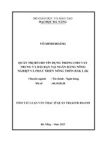 Quản trị rủi ro tín dụng trong cho vay trung và dài hạn tại ngân hàng NNPTNT đắk lắk 