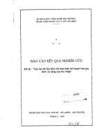 Câu lạc bộ gia đình trẻ thực hiện kế hoạch hóa gia đình và nâng cao thu nhập