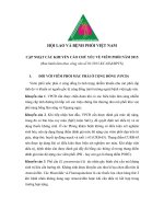 Cập nhật các khuyến cáo chủ yếu về viêm phổi năm 2015