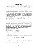 Phân tích cơ cấu tổ chức và tình hình hoạt động của Doanh nghiệp liên doanh 19-5