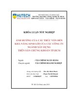 Ảnh hưởng của cấu trúc vốn đến khả năng sinh lời của các DN nhóm ngành xây dựng trên sàn chứng khoán TP  HCM 