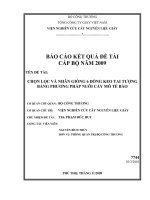 Chọn lọc và nhân giống 6 dòng keo tai tượng bằng phương pháp nuôi cấy mô tế bào (2)