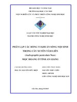 phân lập các dõng vi khuẩn sống nội sinh trong cây xuyên tâm liên (andrographis paniculata nees) mọc hoang ở tỉnh an giang