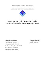 THỰC TRẠNG VÀ TIỀM NĂNG PHÁT TRIỂN HÀNG HÓA XANH TẠI VIỆT NAM