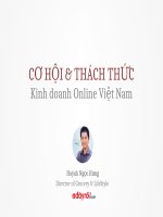 cơ hội và thách thức kinh doanh olnine việt nam sàn thương mại điện tử adayroi