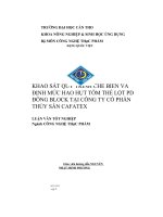 Khảo sát quy trình chế biến và định mức hao hụt tôm thẻ lột PD đông block tại công ty cổ phần thủy sản cafatex 