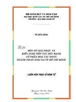 một số giải pháp và kiến nghị tiếp tục đẩy mạnh cổ phần hóa các dnnn ngành tm dv xnk tp hồ chí minh