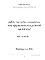 Nghiên cứu nhện (araneae) trong hang động tại vườn quốc gia ba bể, bắc kạn 