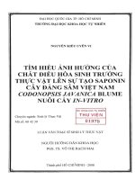 Tìm hiểu ảnh hưởng của chất điều hòa sinh trưởng thực vật lên sự tạo saponin cây đảng sâm việt nam codonopsis javanica blume nuôi cấy in vitro