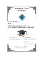 Điều chế biodiesel từ mỡ cá basa bằng phương pháp nhiệt xúc tác NaOH 