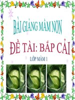 Bài giảng điện tử mầm non đề tài Bắp cải
