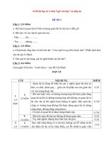 15 đề thi học kì 1 môn ngữ văn lớp 7 có đáp án 