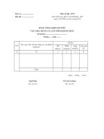 Mẫu số S08-DNN: Bảng tổng hợp chi tiết vật liệu, dụng cụ, sản phẩm, hàng hóa