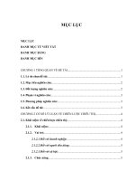 Đề tài phân tích chiến lược chiêu thị bia saigon special của tổng công ty cổ phần bia, rượu, nước giải khát sài gòn tại thị trường việt nam