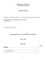 Phát triển tư duy toán học của học sinh khá, giỏi trong dạy học đại số ở trường THCS  luận văn thạc sỹ giáo dục học