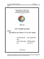 Mô phỏng hệ thống vô tuyến mimo  luận văn tốt nghiệp đại học