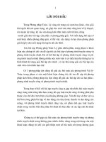 Hệ thống bài tập phương trình truyền sóng và phương trình truyền nhiệt