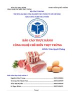 CÔNG NGHỆ CHỀ BIẾN THỊT TRỨNG