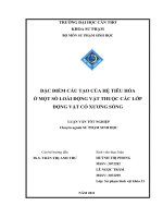 Đặc điểm cấu tạo của hệ tiêu hóa ở một số loài động vật  thuộc các lớp động vật có xương sống