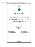 Phân tích kết quả hoạt động kinh doanh của công ty hàng hải vinalines cần thơ