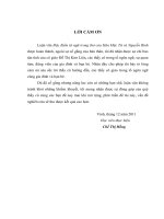 Đặc điểm từ ngữ trong thơ hàn mặc tử và nguyễn bính  luận văn thạc sỹ ngữ văn