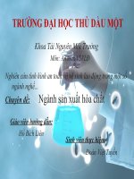 Bài thuyết trình nghiên cứu tình hình an toàn và vệ sinh lao động trong một số ngành nghề   ngành sản xuất hóa chất