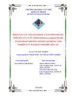 Khảo sát cấu tạo giải phẫu và sự phân bố túi tinh dầu của cây tràm (melaleuca cajuputii powell) ở giai đoạn trưởng thành